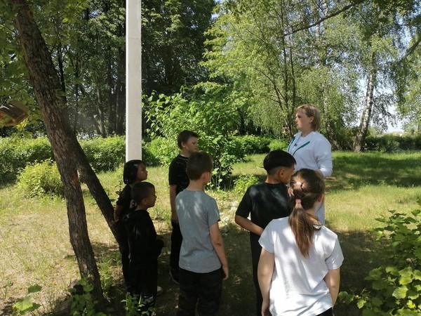 «В здоровом теле, здоровый дух»
