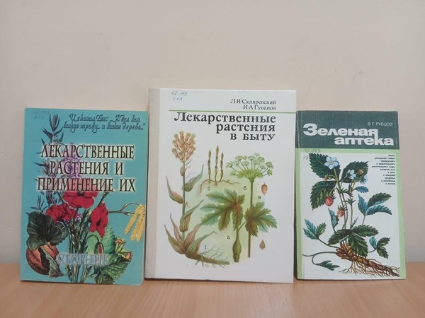 Беседа у книжной выставки «Природная аптека»