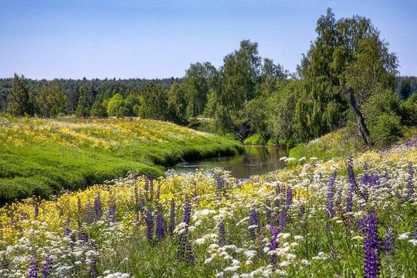 Интерактивная программа «За природу в ответе взрослые и дети»