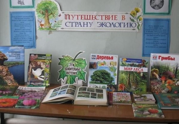Познавательный час «Приключения юннатов»