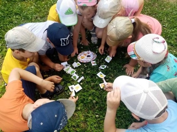 Экологическая игра «На солнечной поляночке»