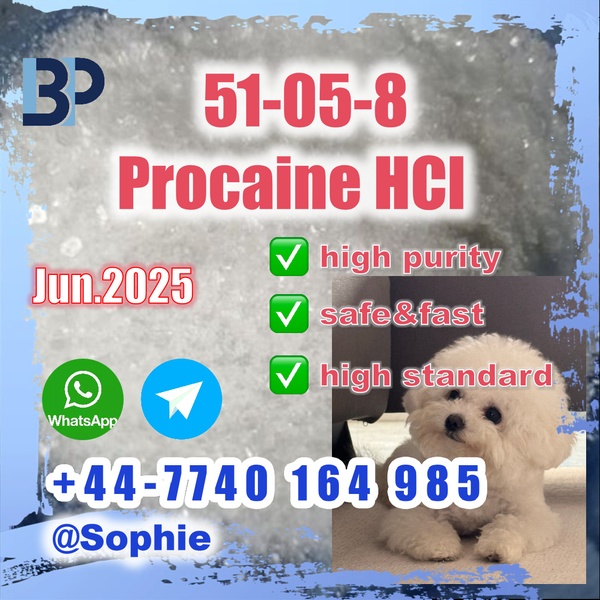 51-05-8 Procaine HCl raw materials factory price