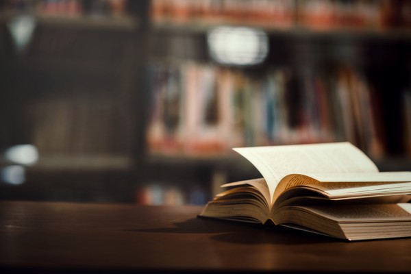 Презентация книги «Гад»