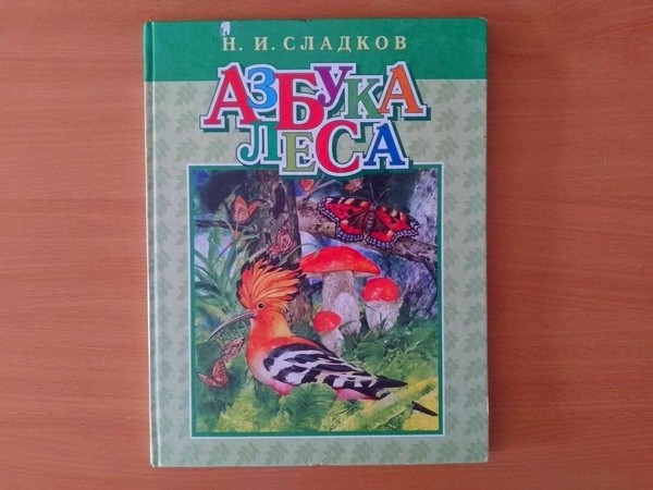 Познавательный час «Лесные секреты»