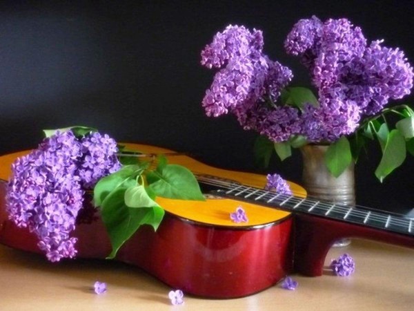 Литературно-музыкальная программа «Солнечные зайчики лета»