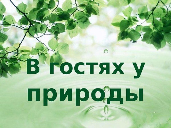 «В гостях у матушки Природы.Лето»