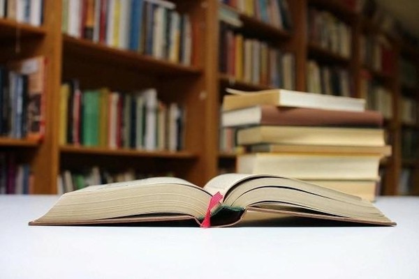 Литературный час «Разнообразный книжный мир»