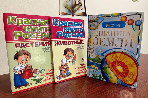 Экологическая викторина «Полна загадок чудесница-природа»