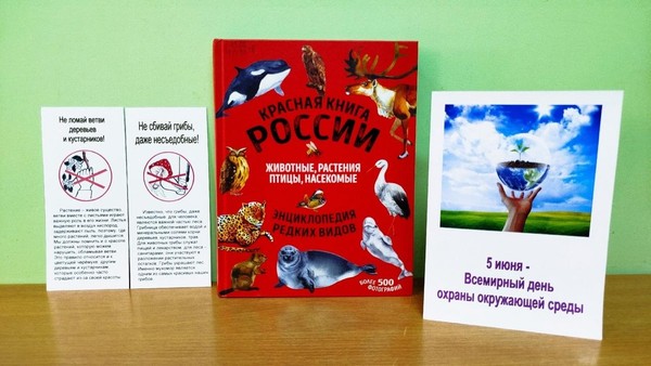 Игра «Знатоки природы»