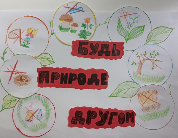 Выставка рисунков «Друзья природы»