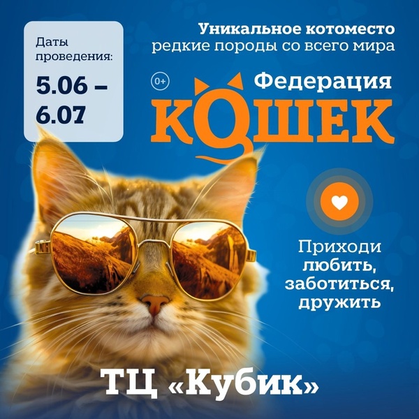 Котопространство 'Федерация кошек'