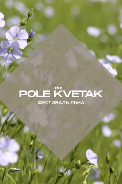 Фестиваль льна «Поле кветак»