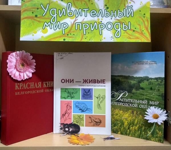 Выставка «Удивительный мир природы»