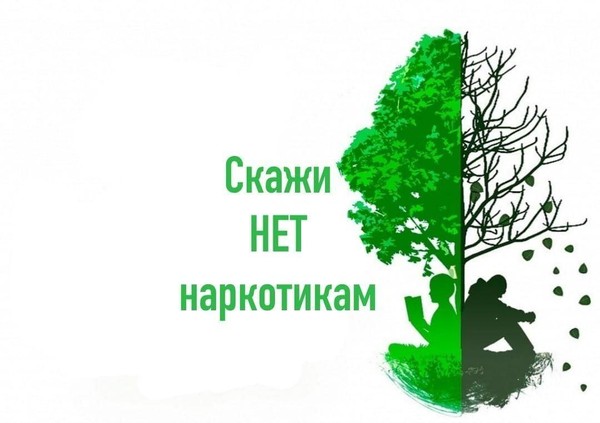 Информационная программа