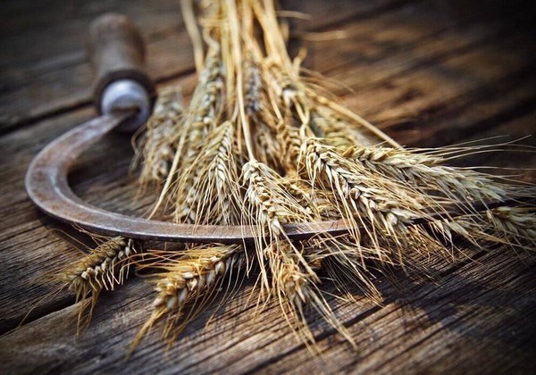 Час русской культуры «День Федула»