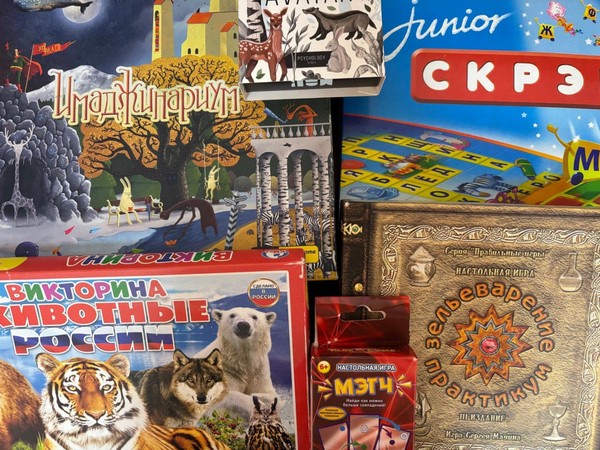 Программа «Турнир настольных игр»