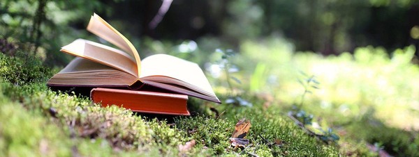 «Через книги в мир природы»