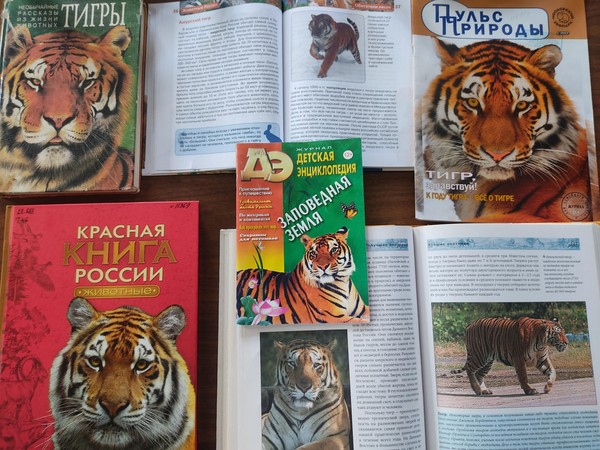 Внутриполочная выставка «Тигриной тропой»