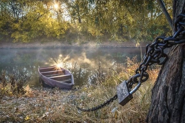 Фотовыставка «Я ЭТО вижу»