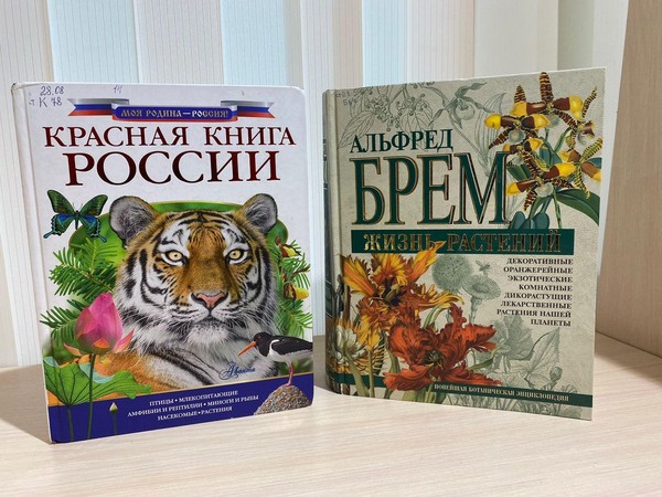 Книжный калейдоскоп «Почитаем, поиграем, отдохнем»