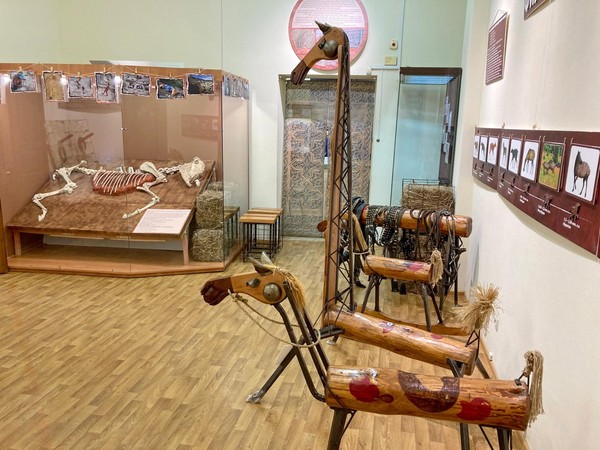 Выставка «Лошадь. Equus. Hippos.» (г. Ставрополь)
