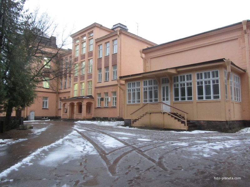 Сосновый лес Халила, усадьба Оптиной пустыни, деревня Антерола
