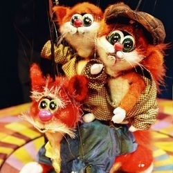 Кошкин дом