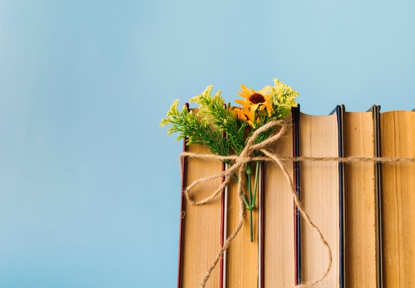 Литературно-познавательная программа «Книговорот ярких приключений»