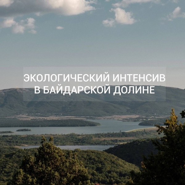Экологический интенсив в Байдарской долине