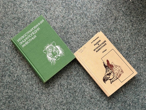 Программа «Амурский тигр»