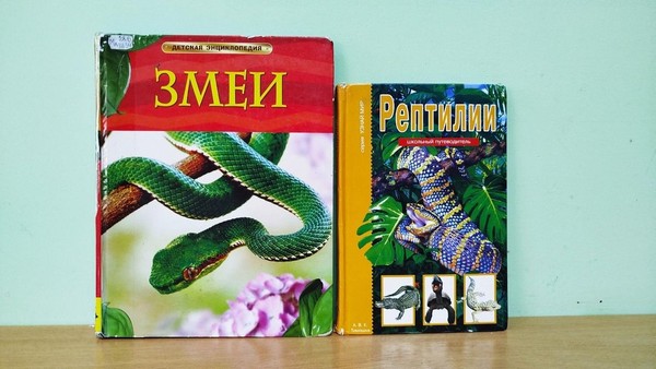 Программа «Знаменитые змеи – герои детских книг»