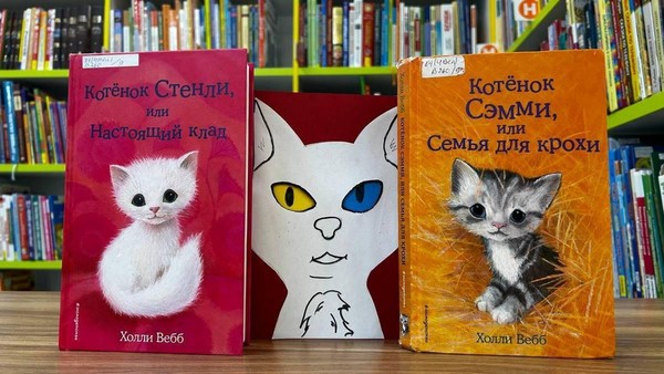 Встреча клуба «РостОк»