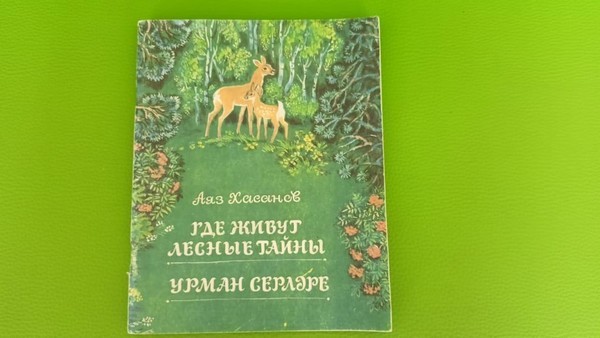 «В гостях у Лесовичка»