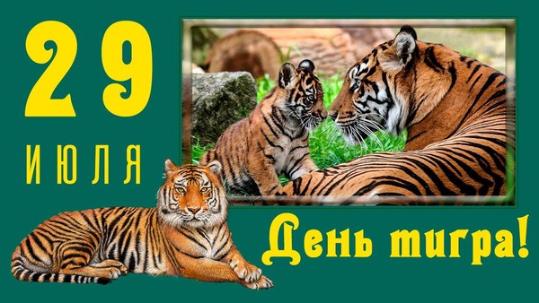 Игровая программа «Тигриной тропой»