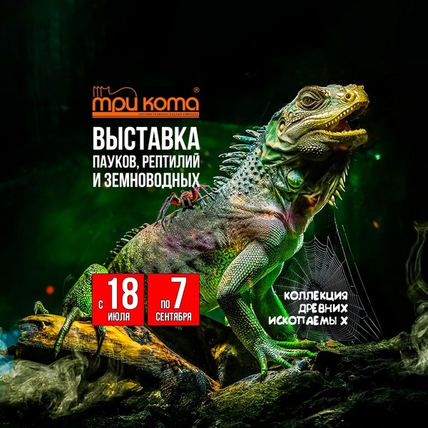 Выставка пауков «Тайна паутины»