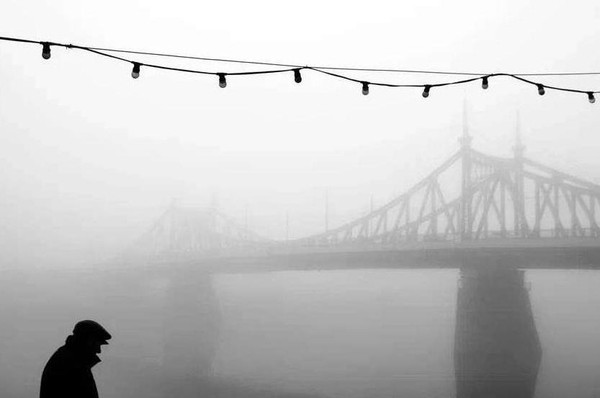 Фотовыставка «Фотострелка»