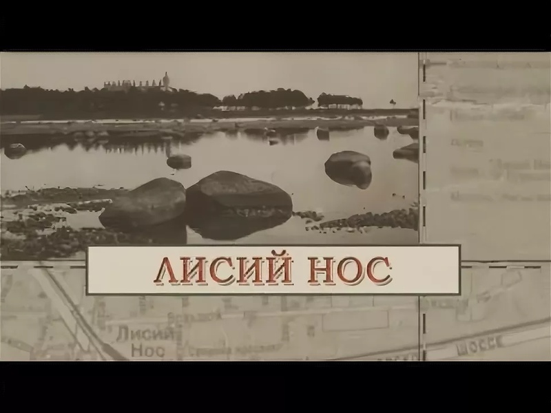 Лисий Нос: поговорим об интересном