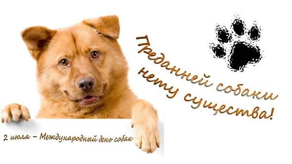 «Преданней собаки нету существа»