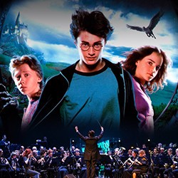 Оркестр в соборе. Harry Potter Symphony