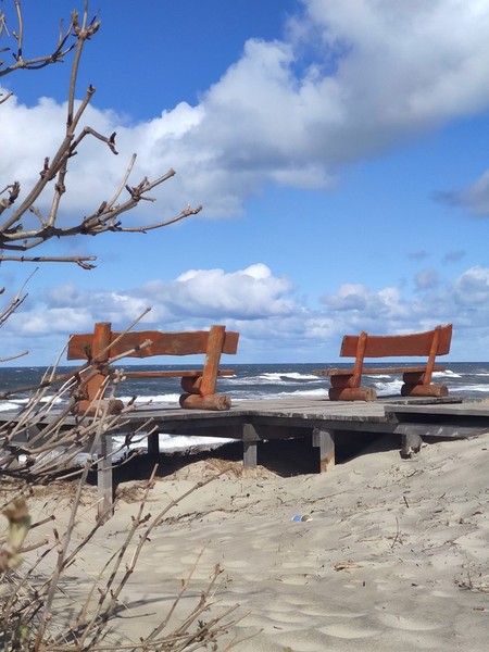 В царство дюн, моря и птиц на Куршской косе — из Калининграда