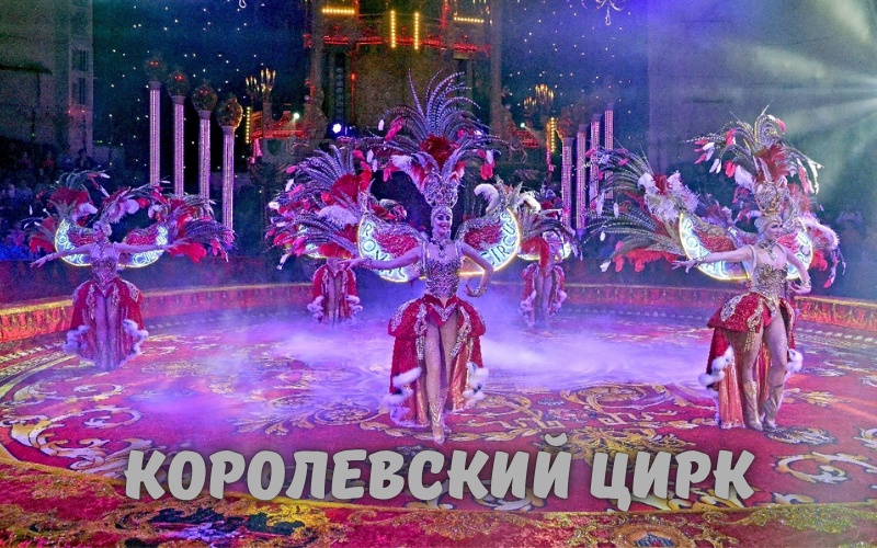 Цирк, достойный короны: шоу, которое вы не забудете