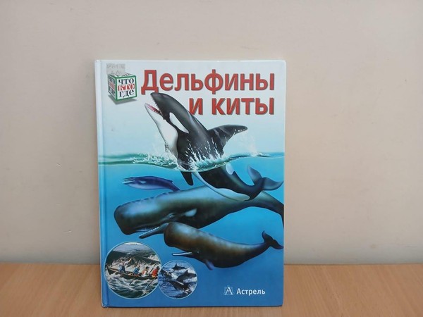 Познавательный час «Живущие в волнах»