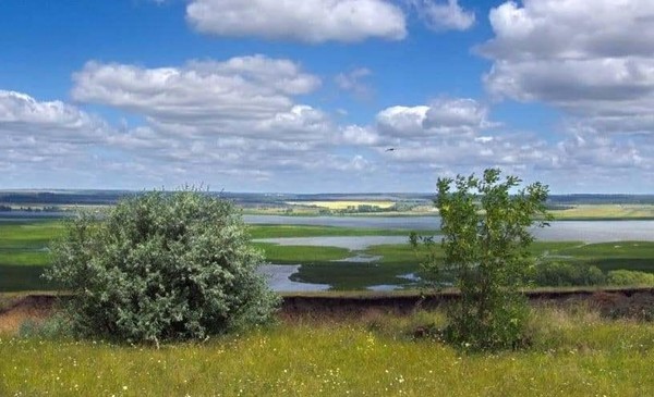 Программа «Секреты Ольгина дня»