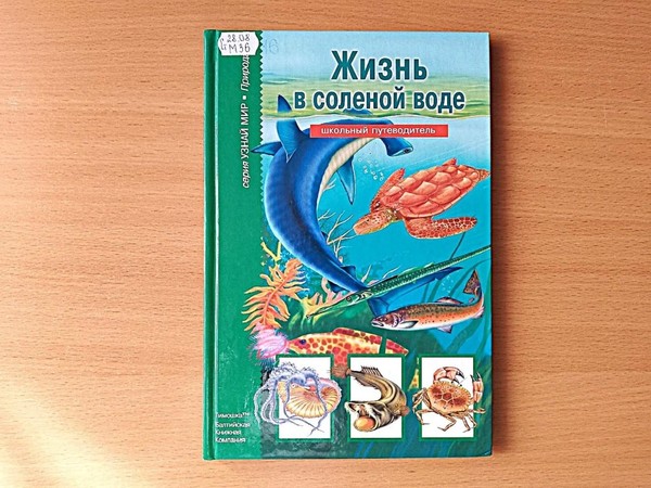 Литературная программа «Тайны морских глубин»