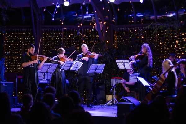 HighTime Orchestra. Симфония Гарри Поттер