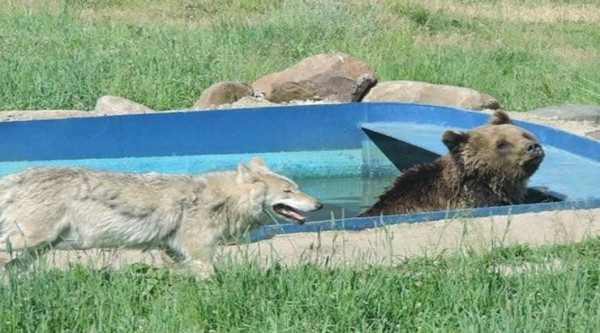 Солнце, воздух и вода -наши лучшие друзья