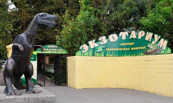 Тематическая встреча «Животное дня. Солнце Мадагаскара»
