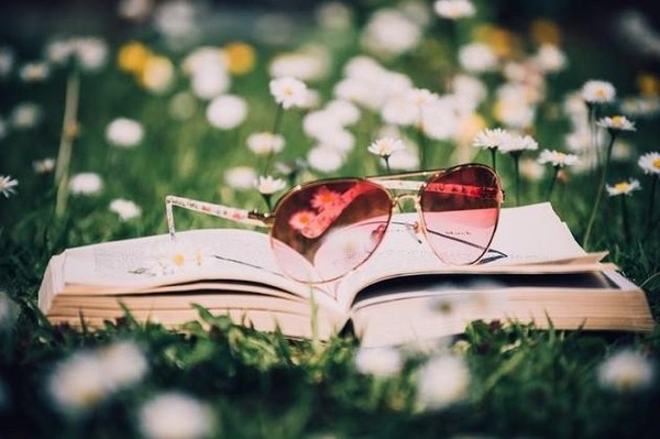 Программа «Секреты книжного лета»