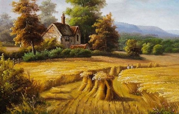Программа «Секреты Финогеева дня»