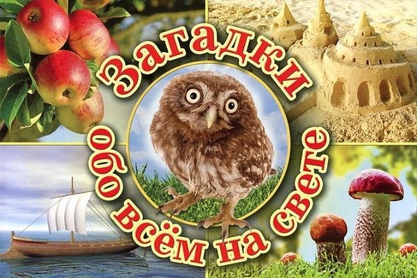 Развлекательная программа «Почитаем, погуляем, все загадки отгадаем»